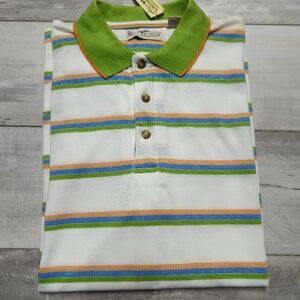 Natural Issue Striped Polo Shirt Green Collar Large Cotton Classic